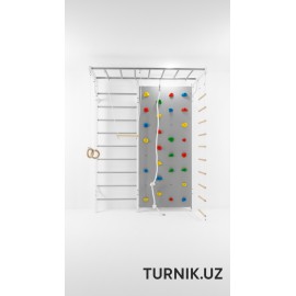 Шведская стенка “Extra” + скаладром